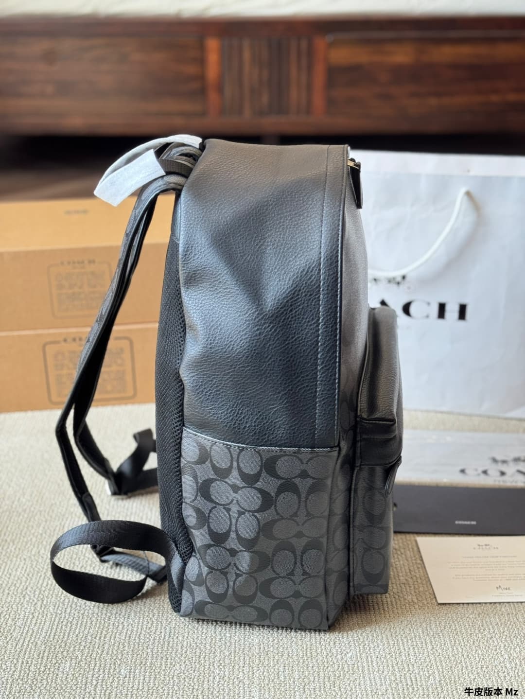 Coach Charles Backpack In Signature Canvas
