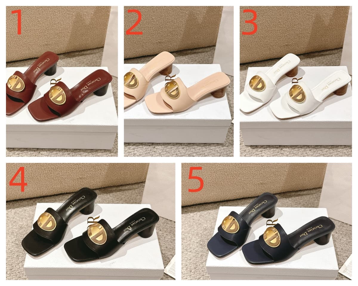 Dior Montaigne Slide Shoes Women