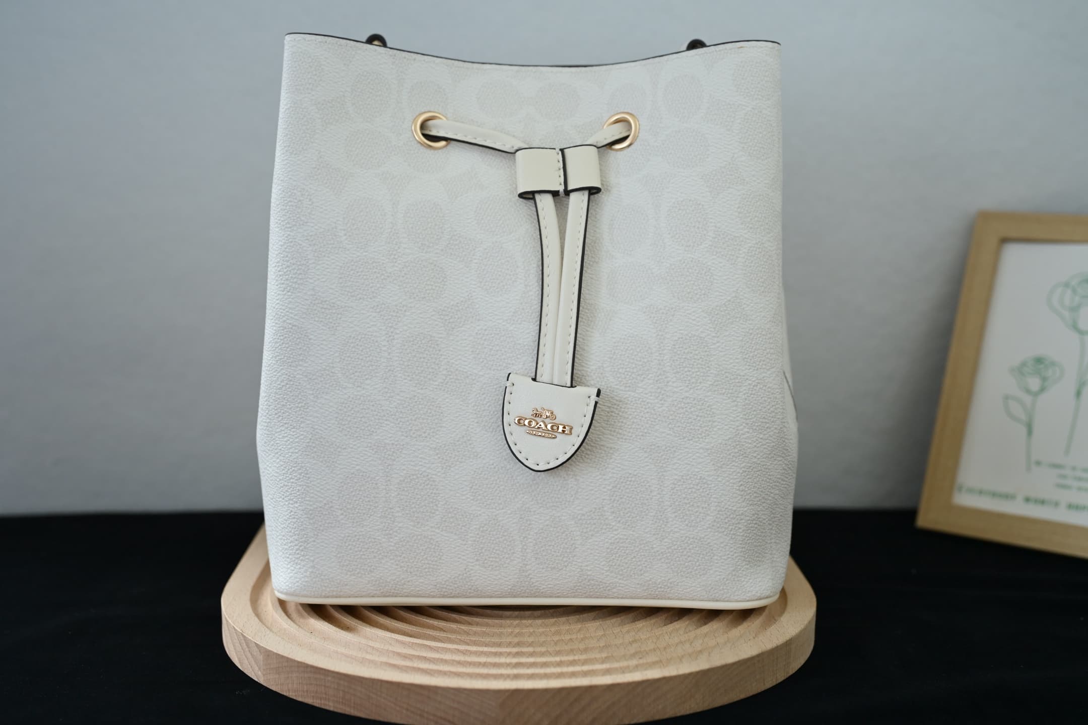 COACH Rowan Bucket Bag In White Signature Canvas High