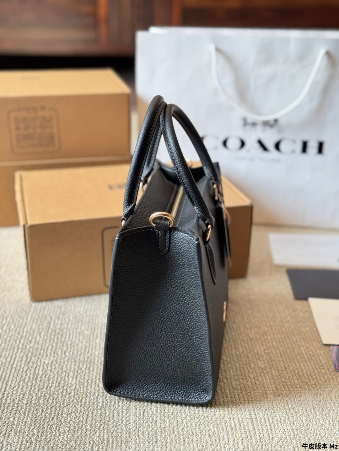 Coach Maggie Small Tote Bag