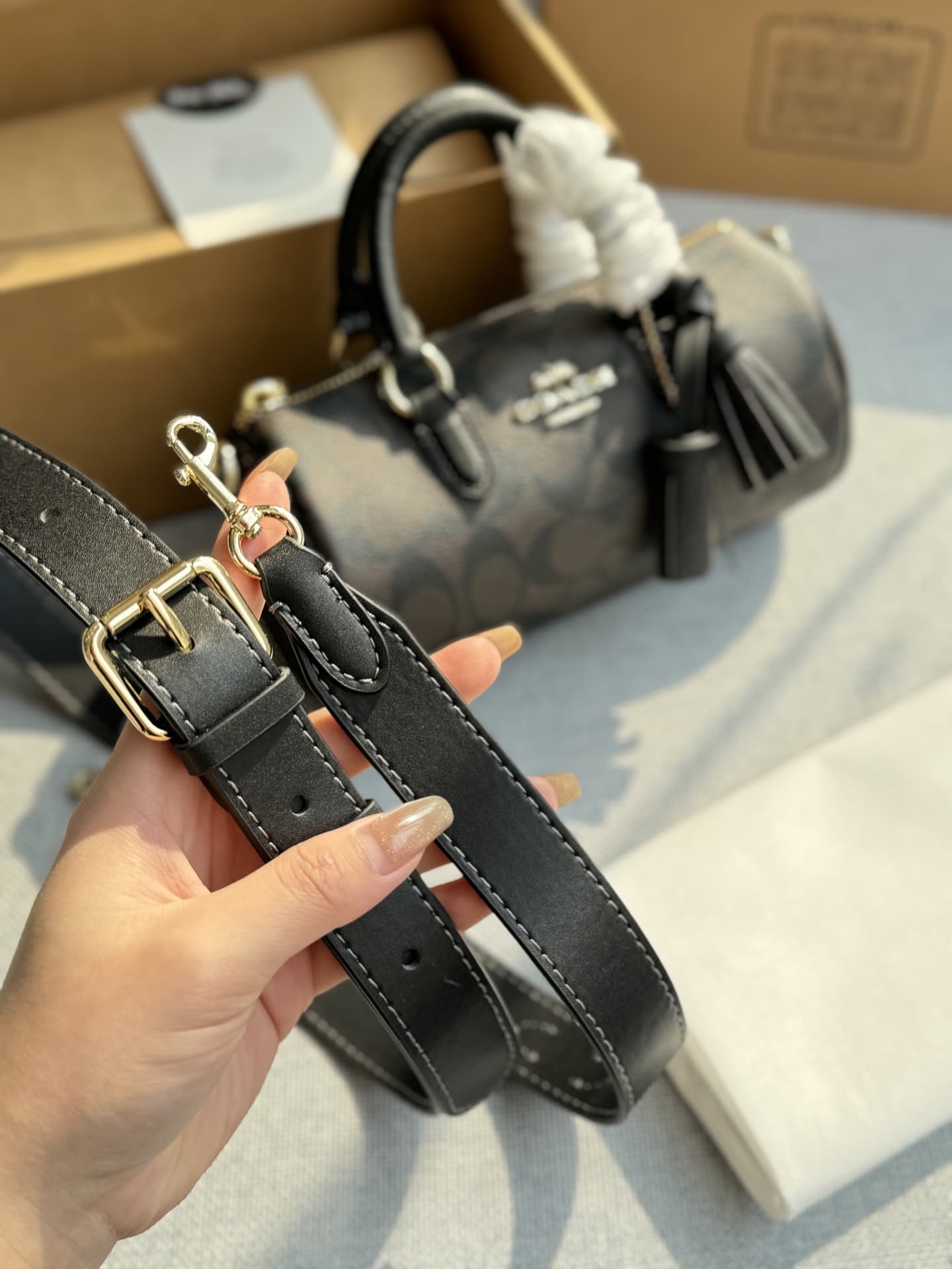 Coach Lacey Crossbody Bag In Signature Canvas