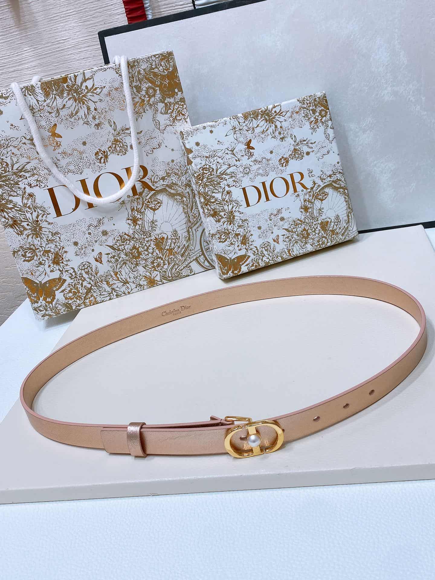 Dior Montaigne Jolie Belt 15/20MM Calfskin Gold/Silver High