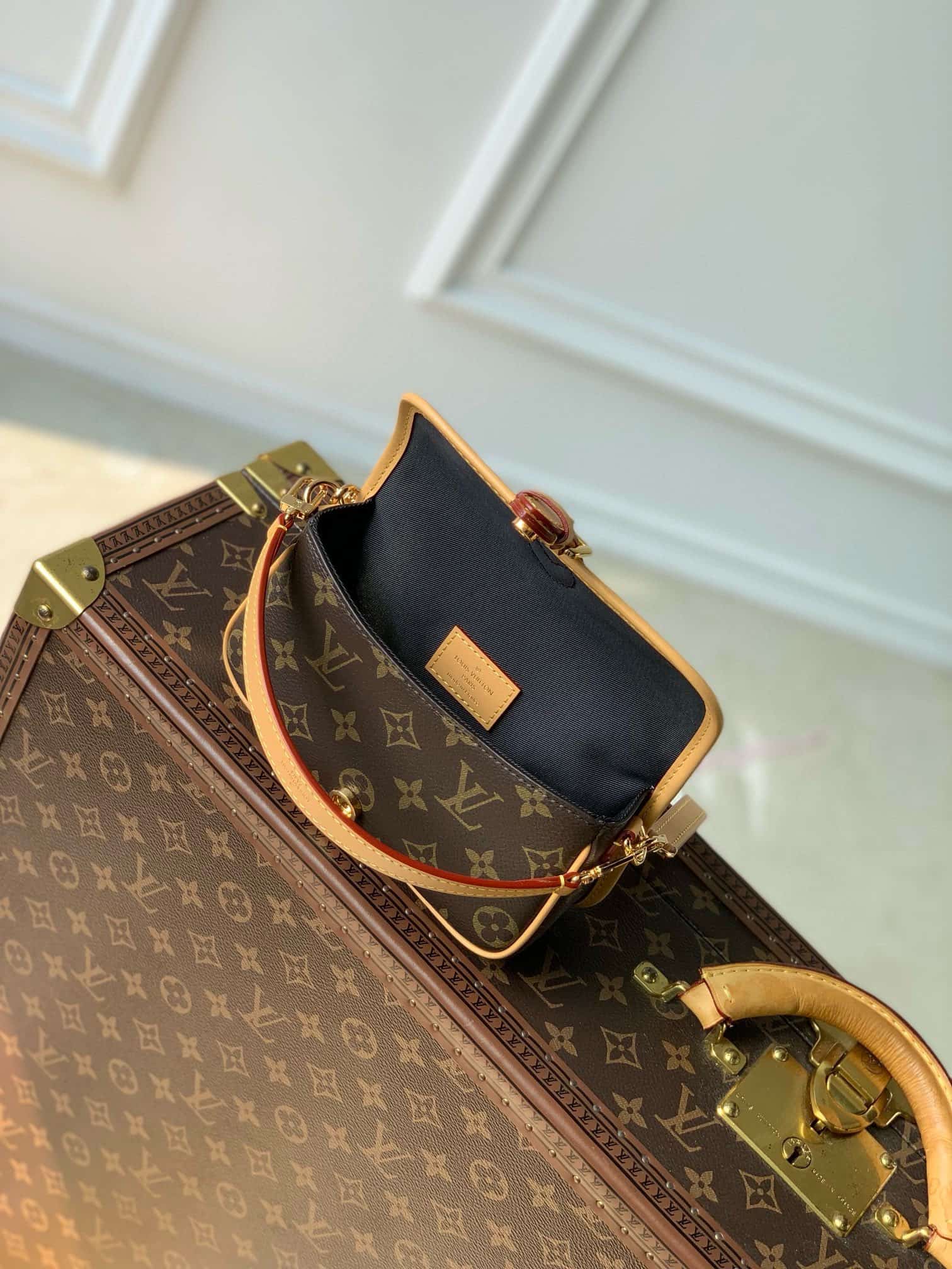 Louis Vuitton Nano Diane Monogram coated canvas M83298 High
