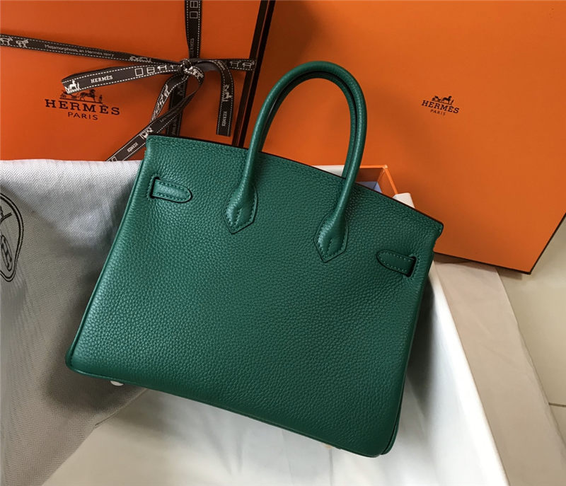 Hermes Birkin 25/30/35cm Bag Calfskin Silver/Gold Metal In  Vert Vertigo High