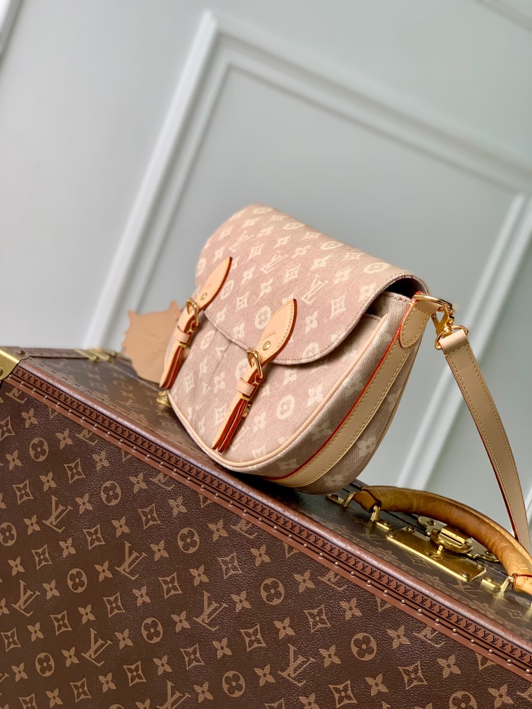 Louis Vuitton Escape Meowgram coated canvas M15134 High