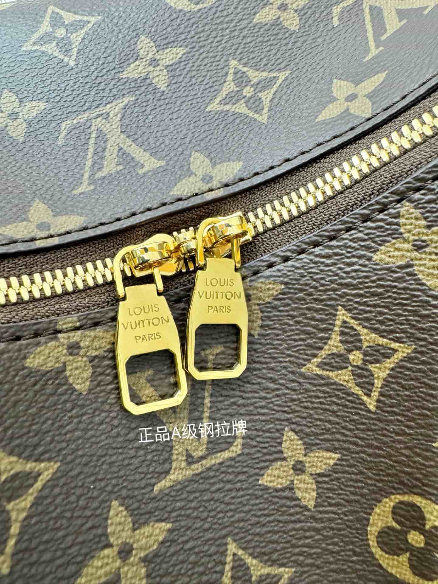 Louis Vuitton Slouchy MM Monogram Coated canvas M12098 TOP