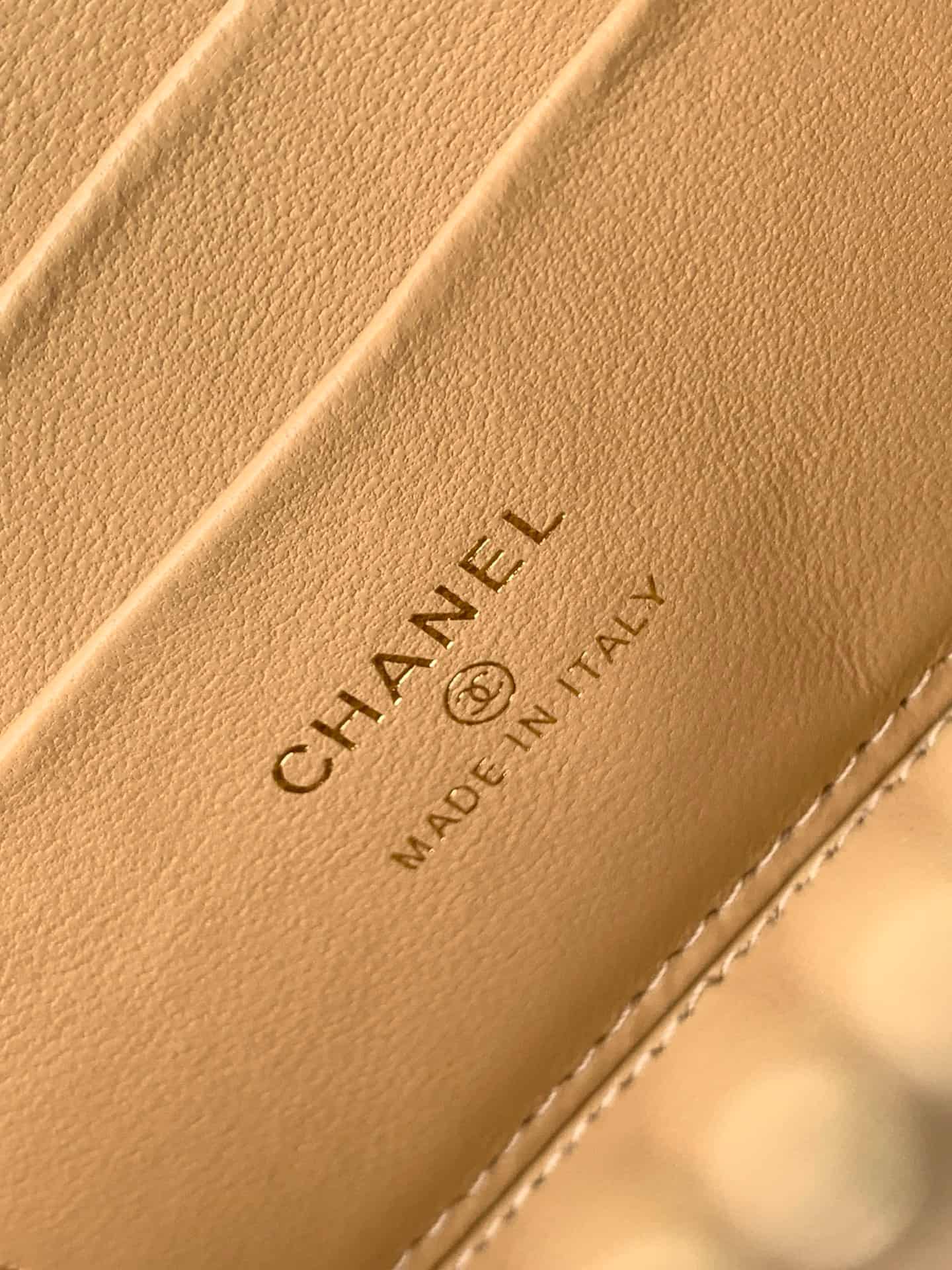 Chanel Classic Long Vanity with Chain Braided Raffia & Gold-Tone Metal Beige AP1341 High