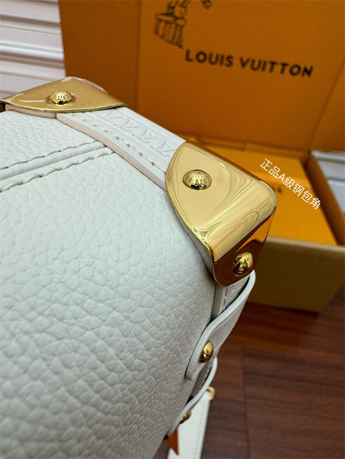 Louis Vuitton SIDE TRUNK PM Grained calf leather M25 Top