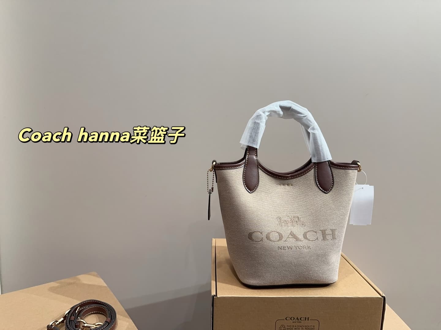 Coach Hanna Bucket Bag