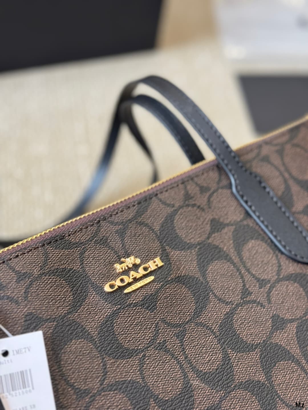 Coach Fiona Zip Tote Bag In Signature Canvas