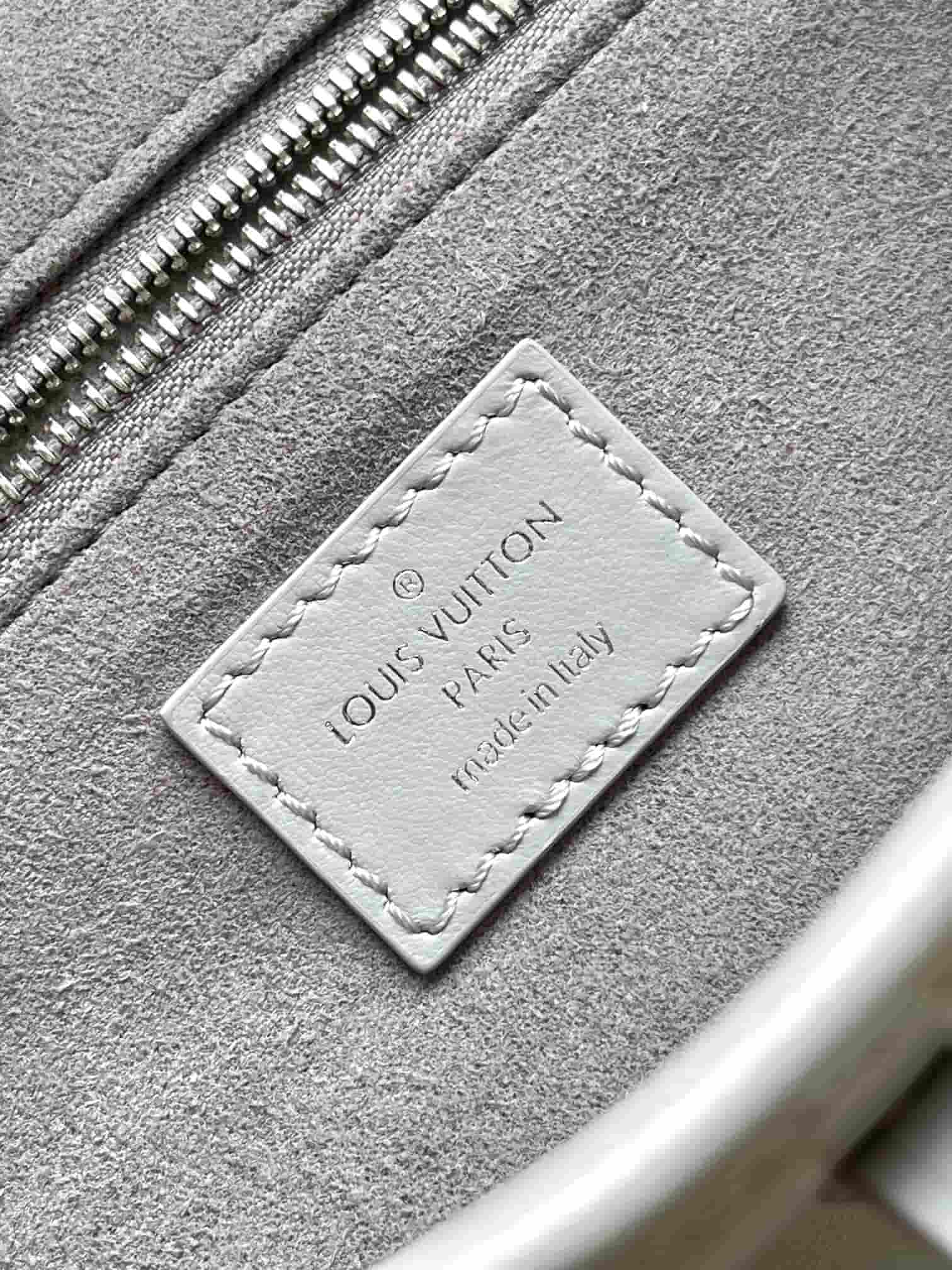 Louis Vuitton CarryAll Cargo Vibe PM Trianon Gray Lambskin leather M12579 TOP