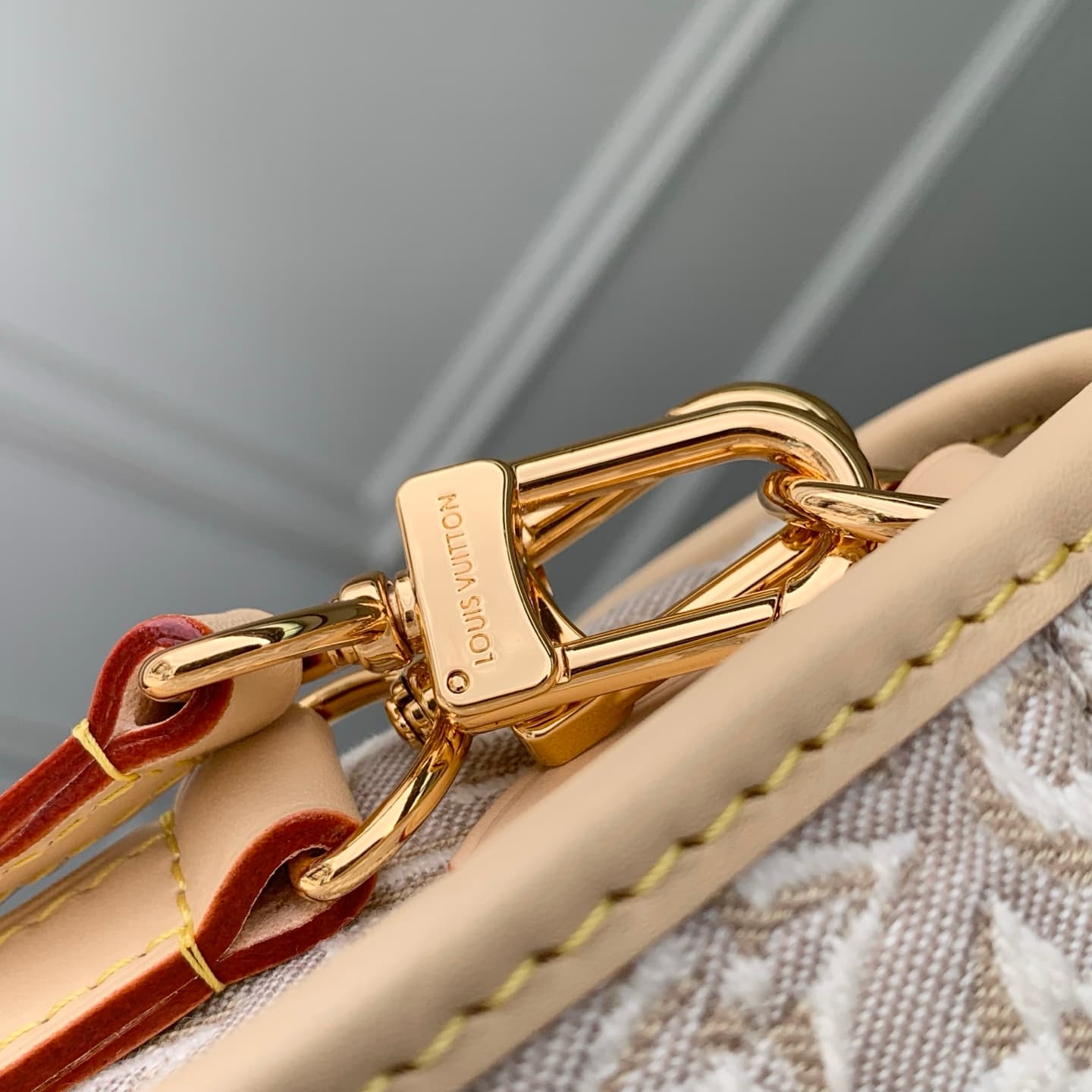 Louis Vuitton Diane PM Monogram Emblème Peuplier M29795 High