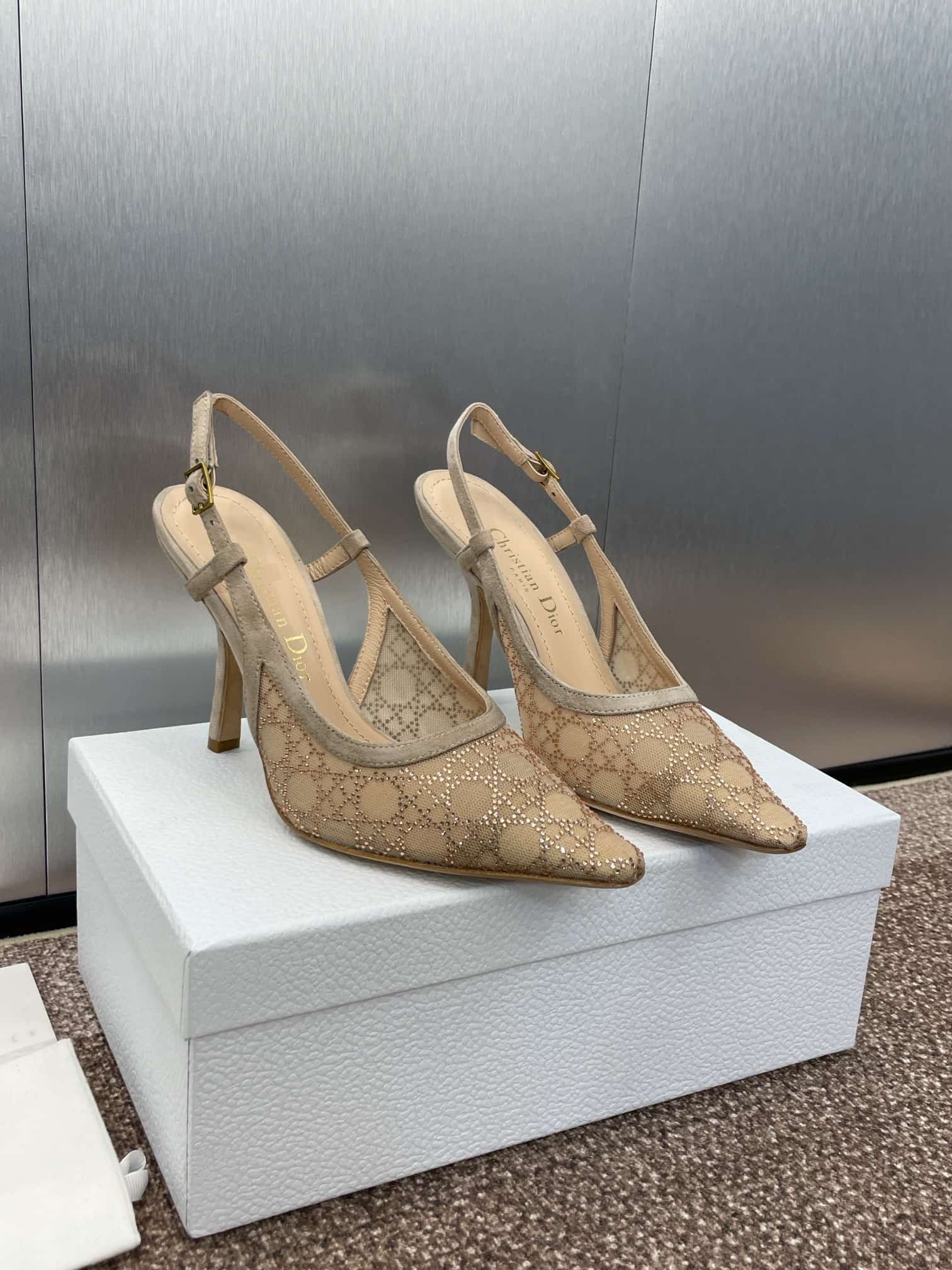 Dior Capture Slingback Pump shoes High Women
