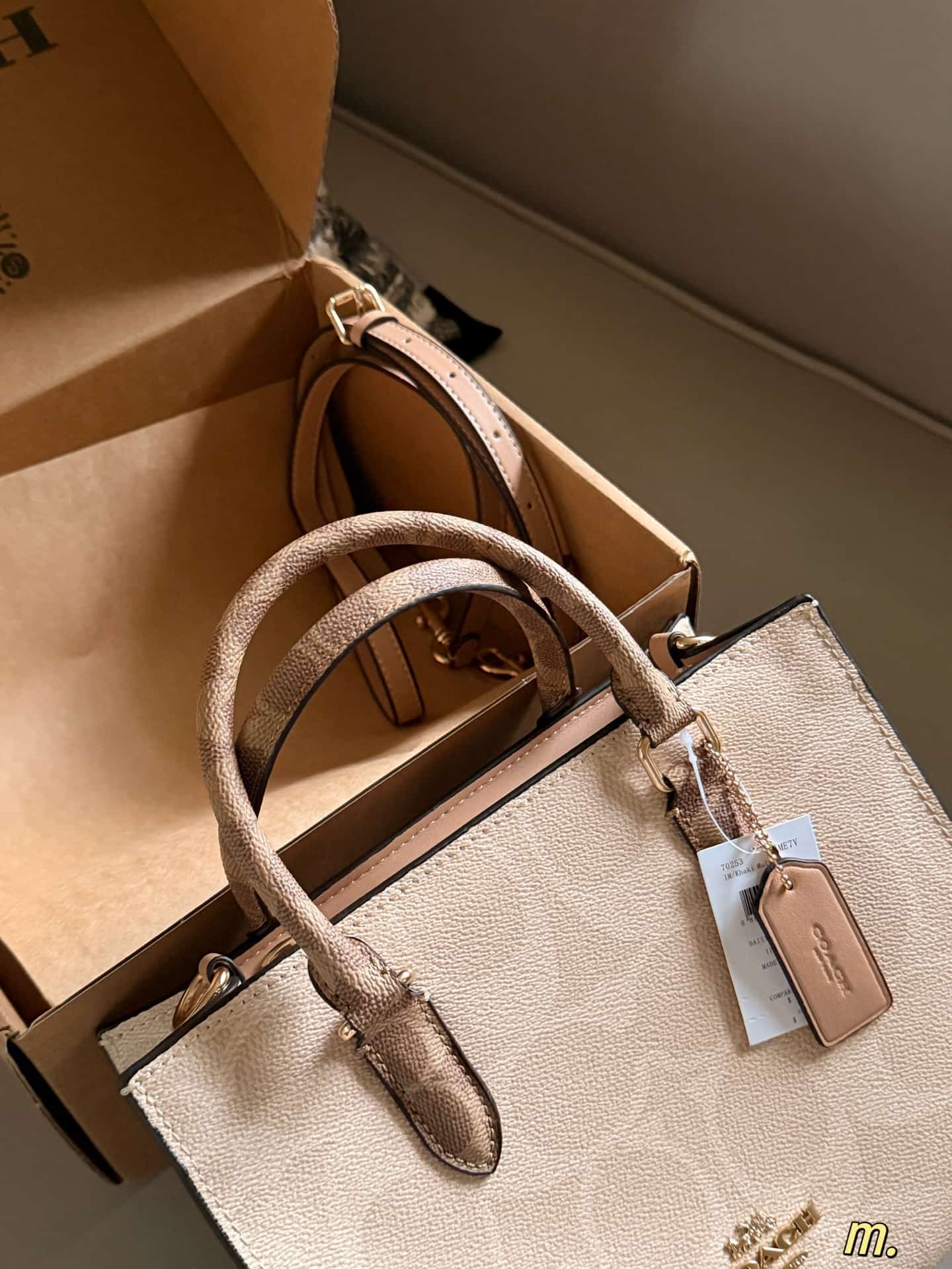 Coach Maggie Small Tote Bag Signature Canvas High