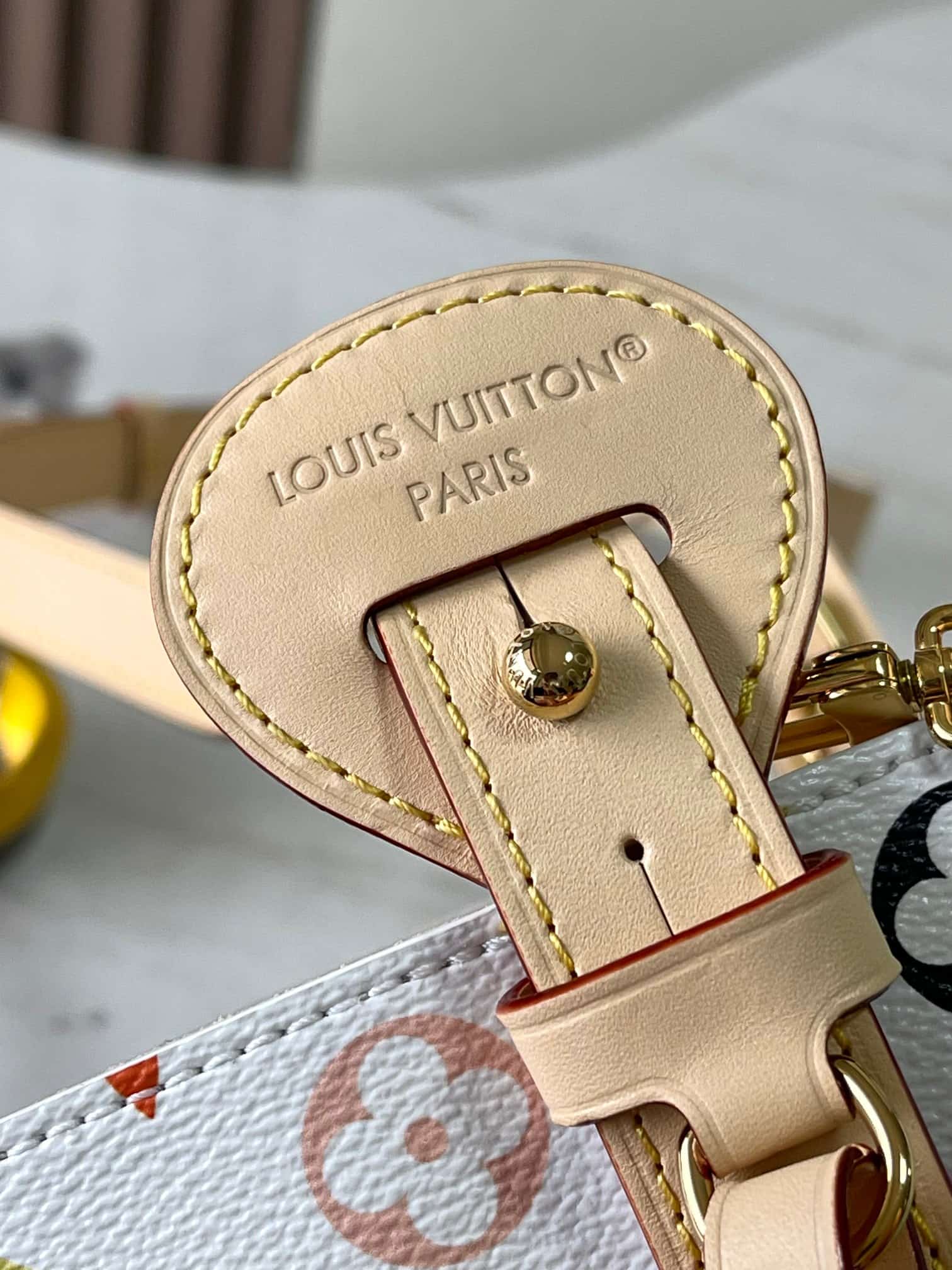 Louis Vuitton x Murakami All In BB Monogram coated canvas M13089 Top