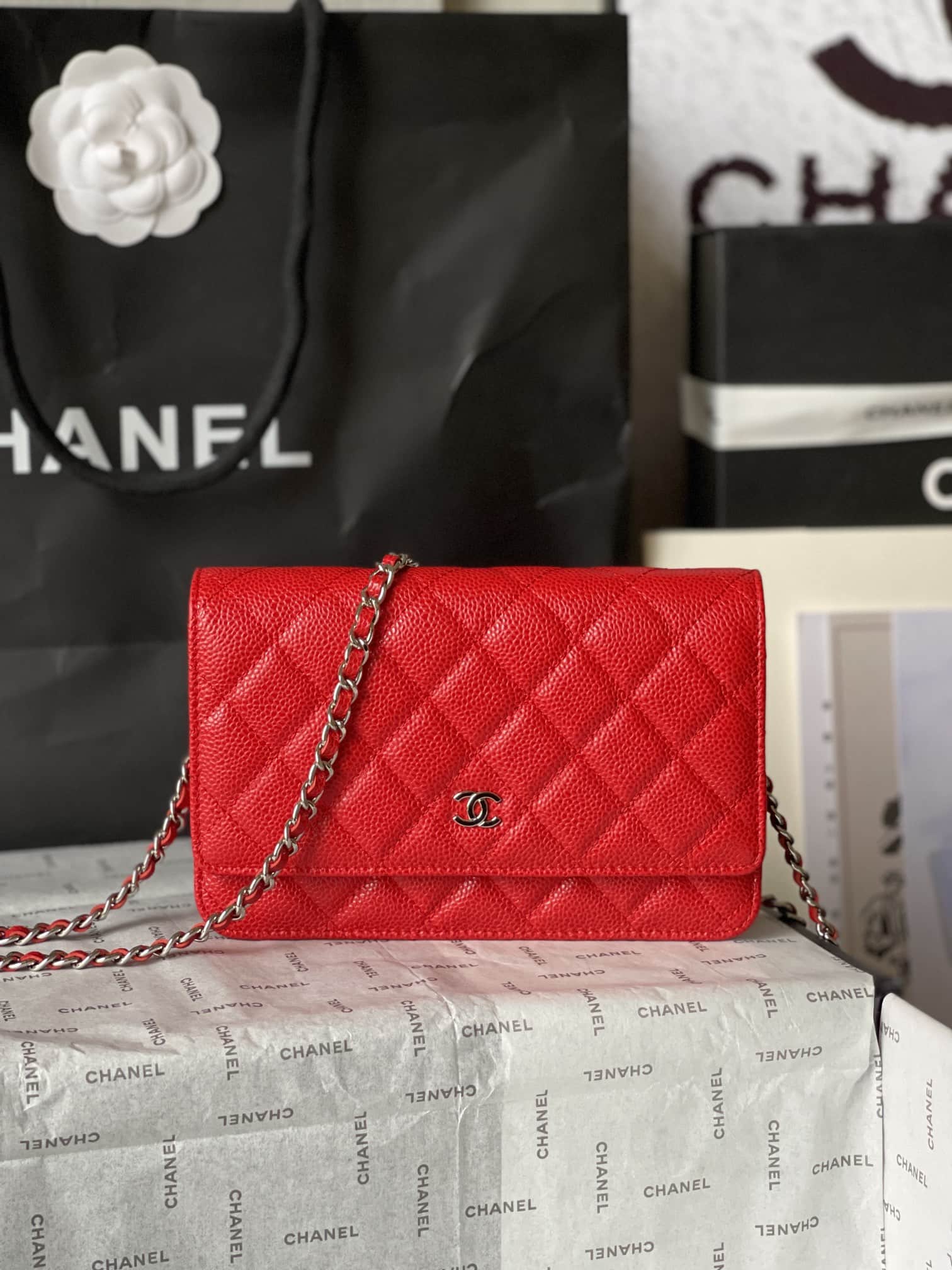 Classic Wallet on Chain AP0250 Grained Calfskin Red Silver Metal A