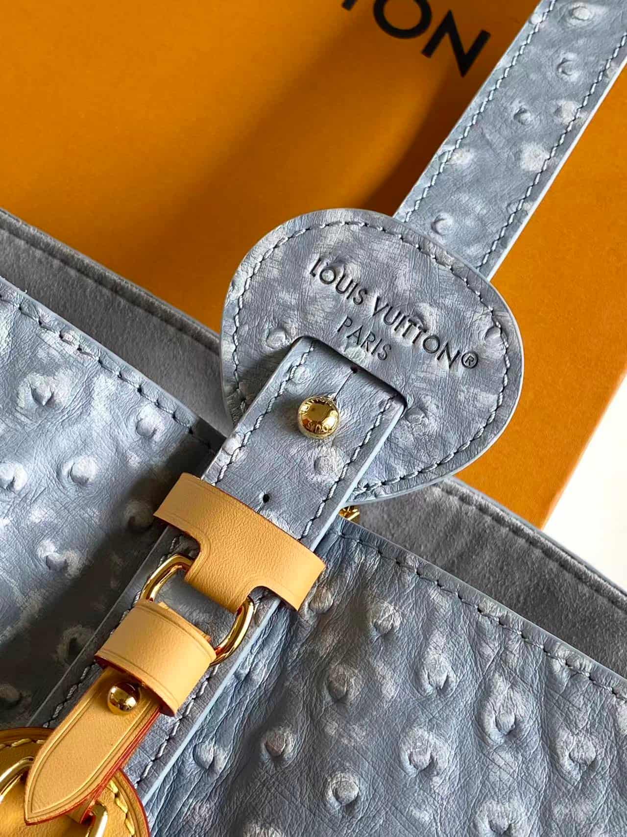 Louis Vuitton All In BB Light Blue Ostrich-embossed Leather M13480 High