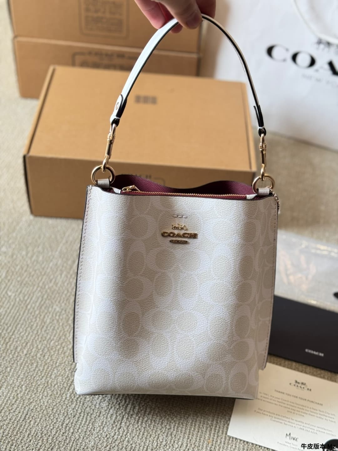 Coach Mollie Bucket Bag 22 In Signature Canvas
