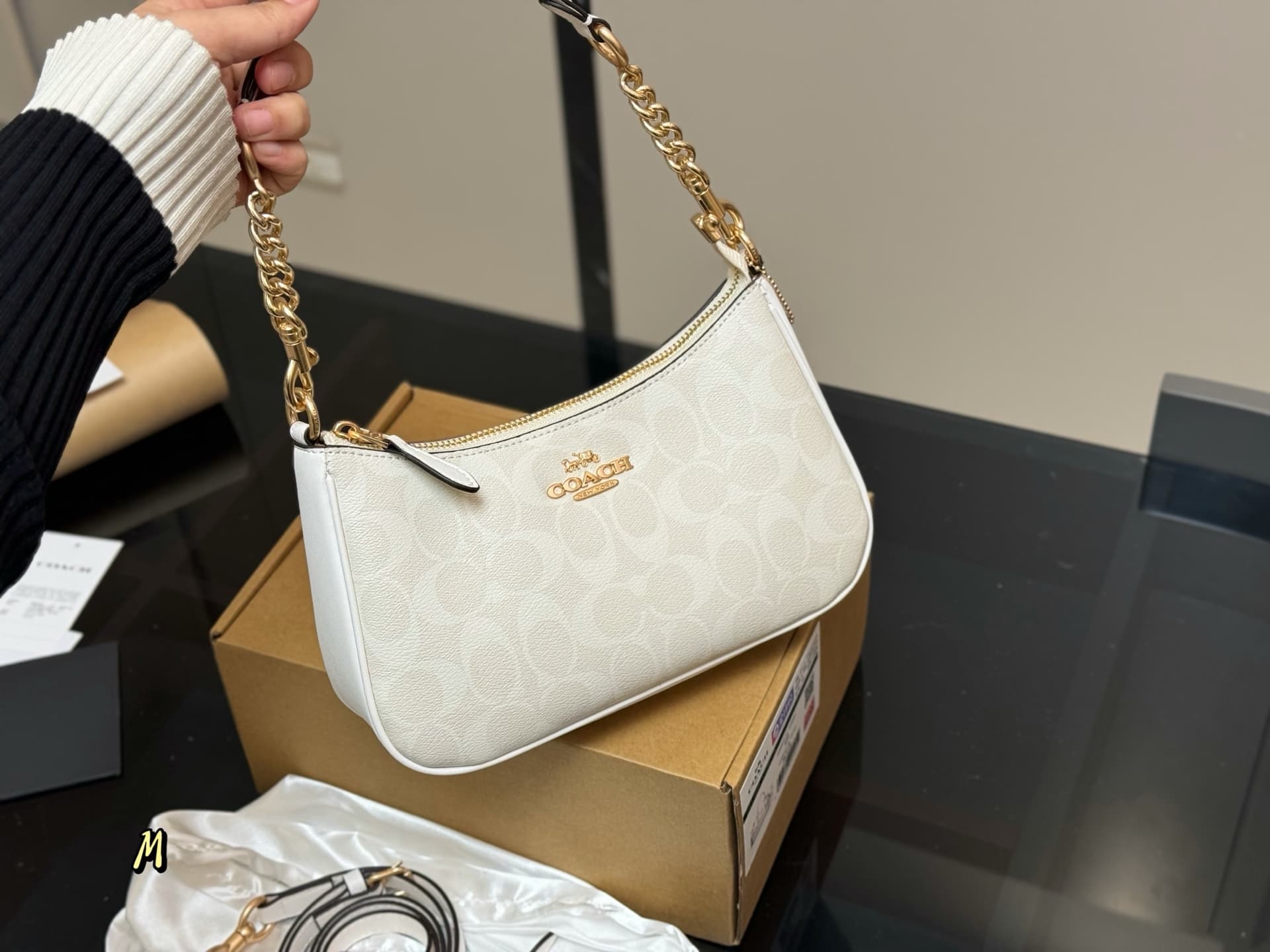 Coach Teri Shoulder Bag In Signature Canvas