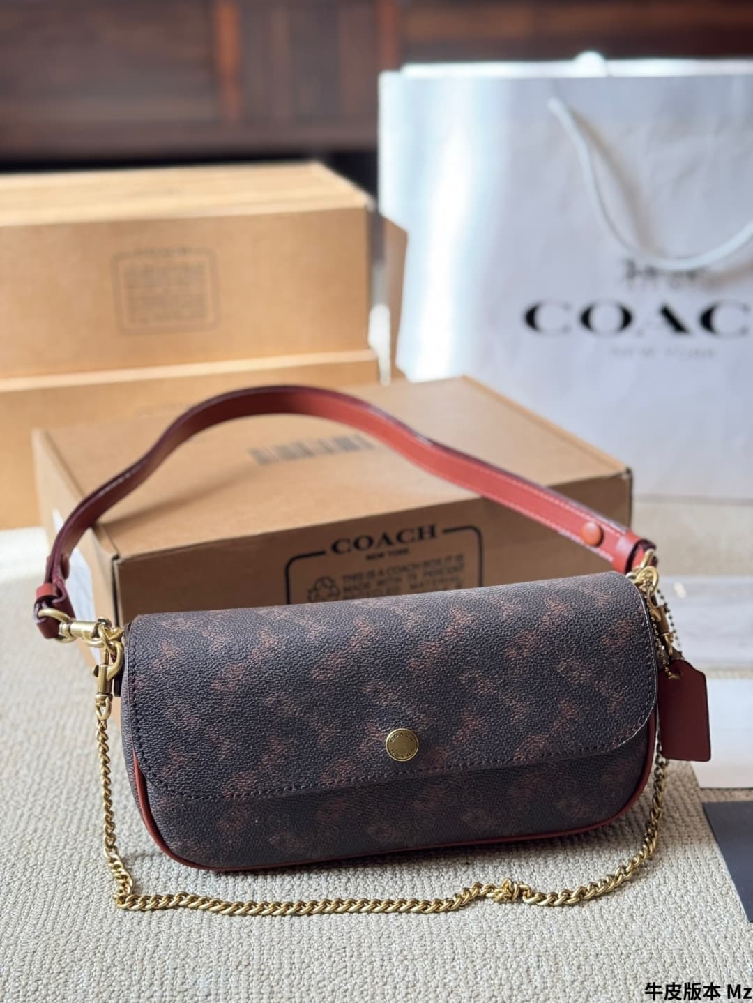 Coach Brook Flap Chain Bag