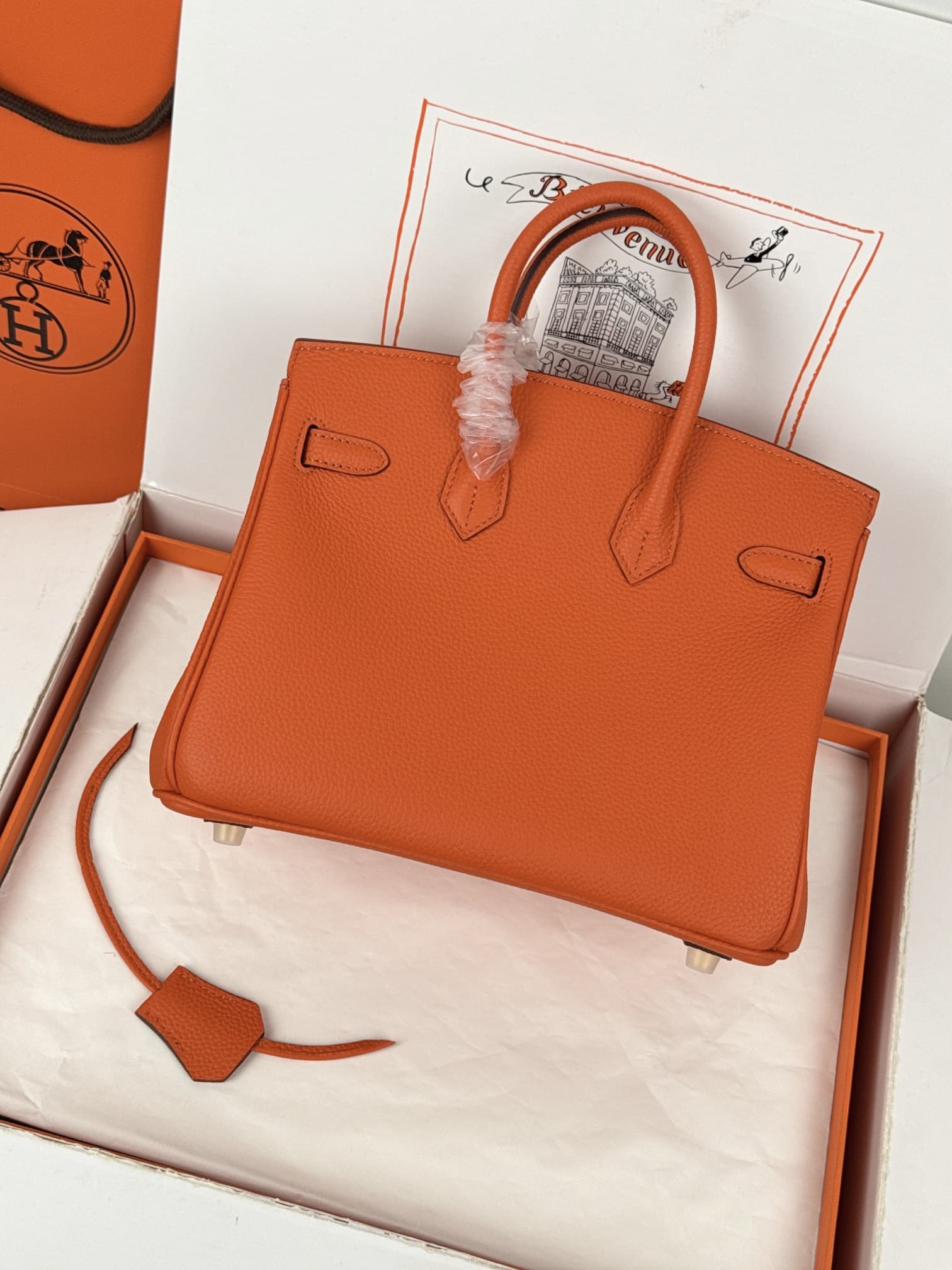 Hermes Birkin 25/30 Bag Togo Calfskin Leather Orange High