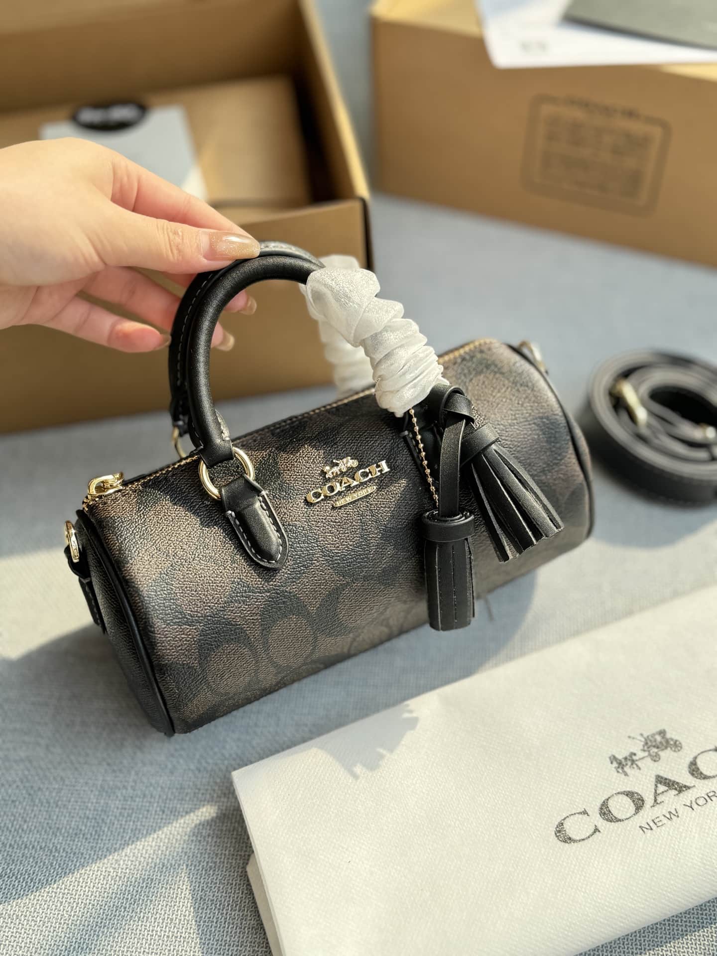 Coach Lacey Crossbody Bag In Signature Canvas