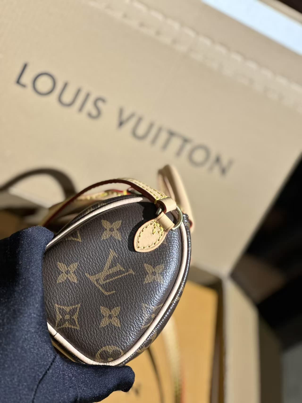 Louis Vuitton Nano Speedy Bag Monogram Canvas M61252 High