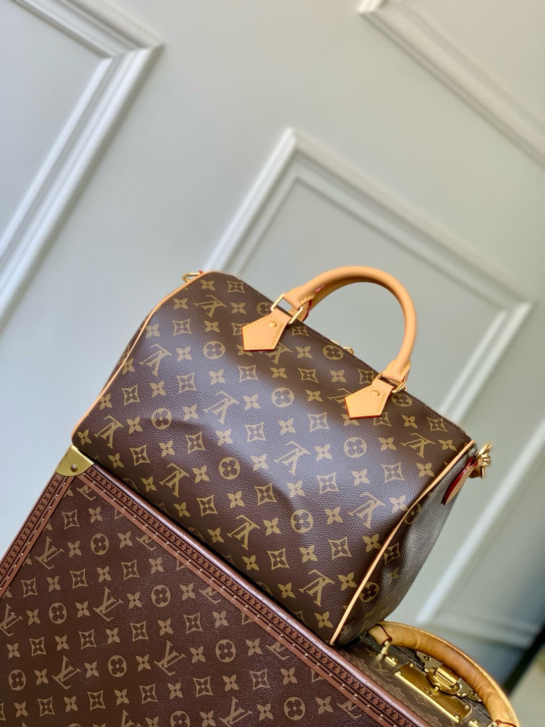 Louis Vuitton Speedy Soft 30 Lucky Coated canvas Monogram/Green M15107 High