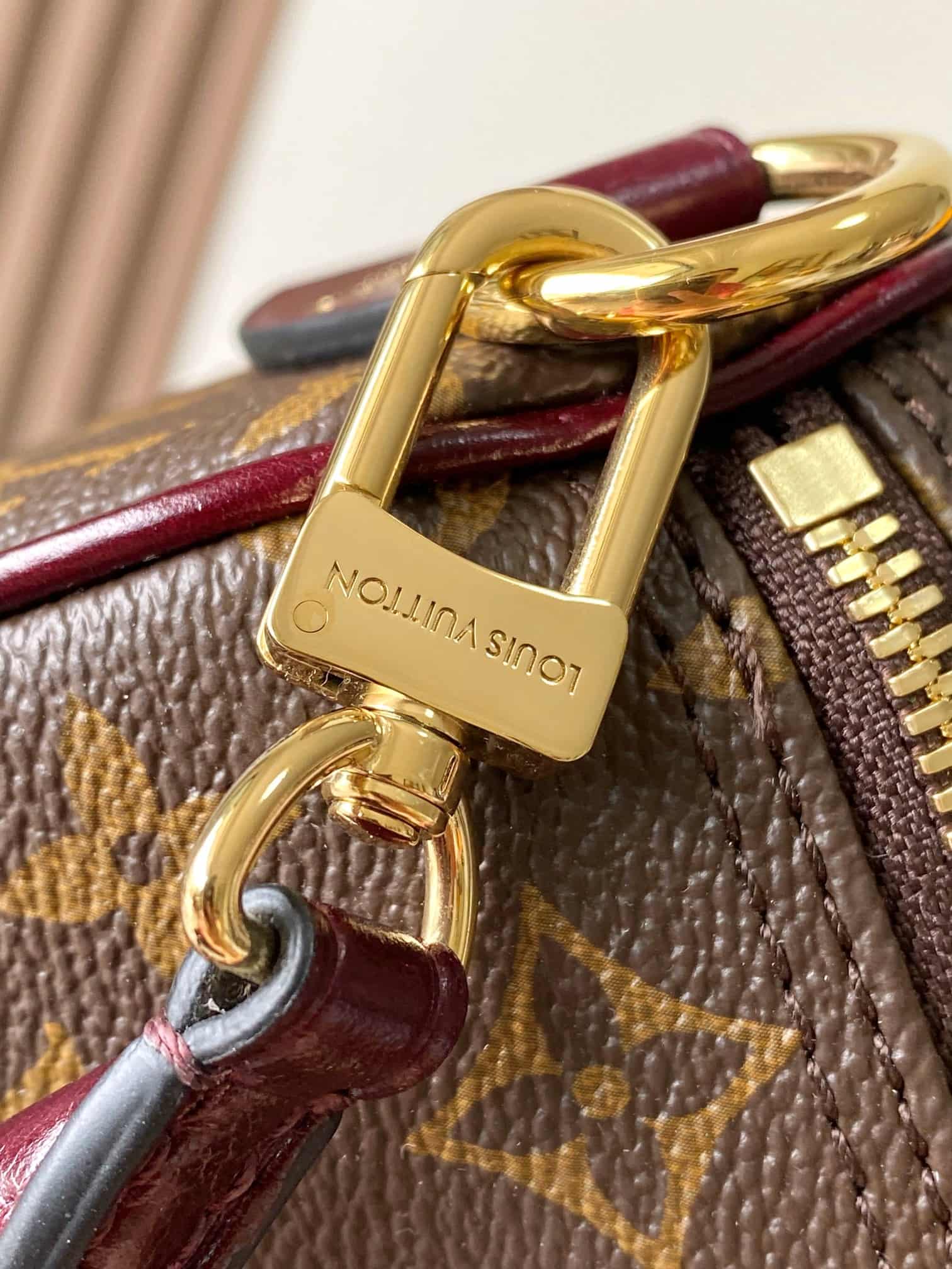 Louis Vuitton Speedy 30 Soft Celebration Monogram coated canvas M28379 TOP