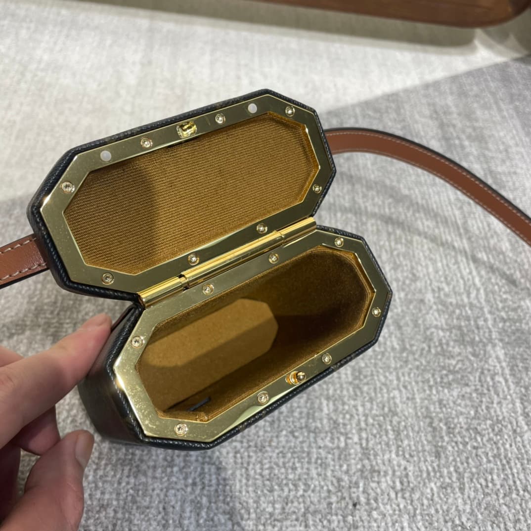 Celine LOCK Cuir Triomphe Box in Canvas and Calfskin High