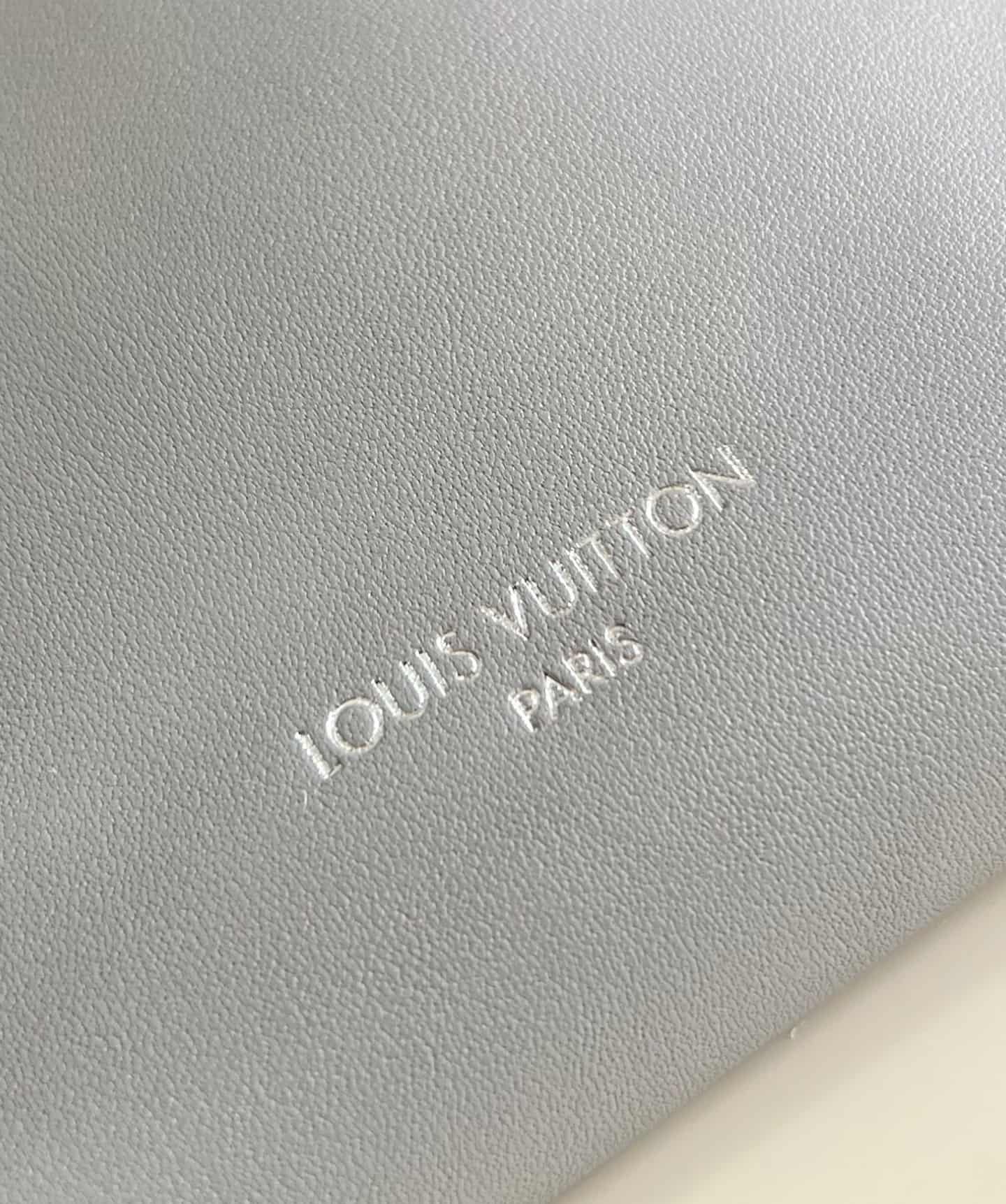 Louis Vuitton CarryAll Cargo Vibe PM Trianon Gray Lambskin leather M12579 High