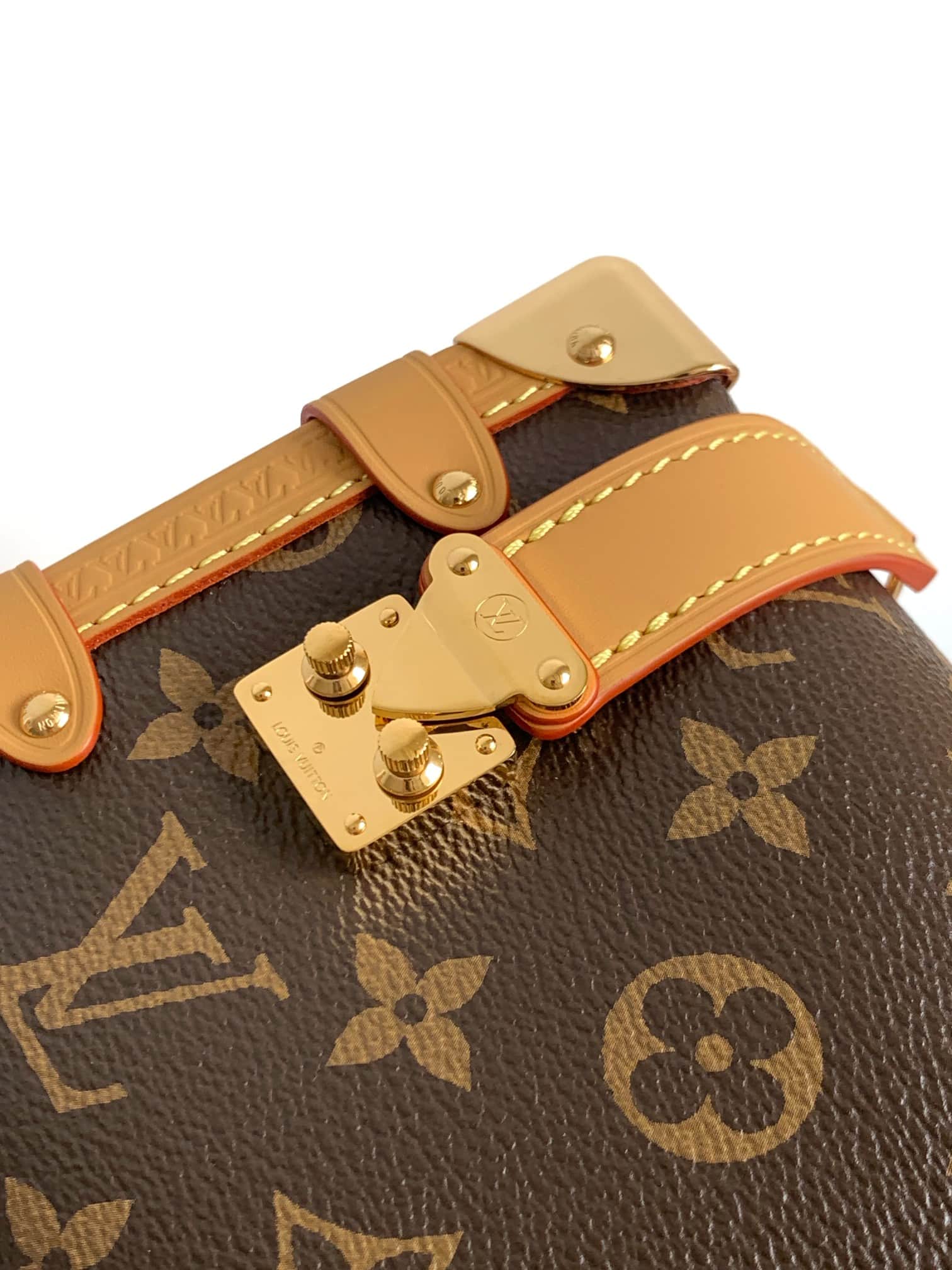 Louis Vuitton SIDE TRUNK PM Monogram coated canvas M46815 High