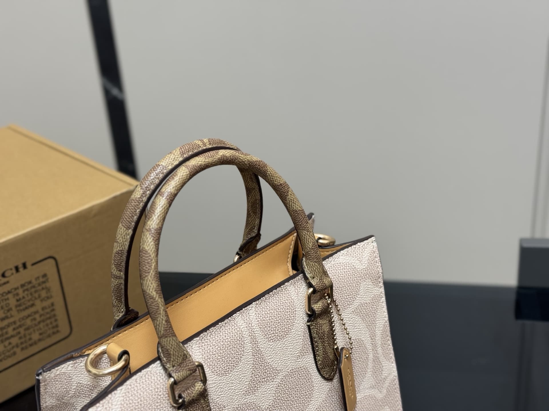 Coach Maggie Small Tote Bag In Blocked Signature Leather