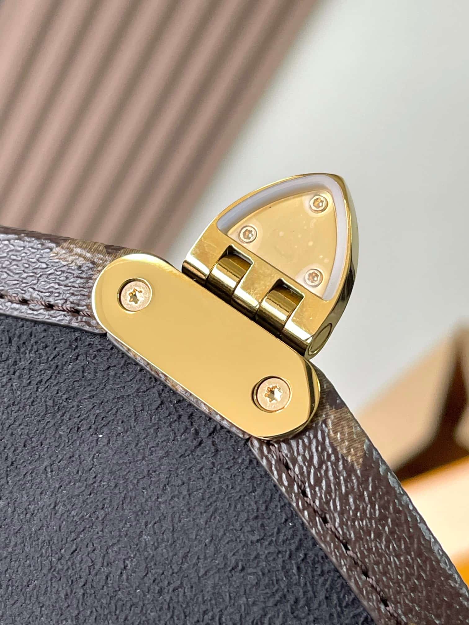Louis Vuitton Trunkie Monogram Coated canvas M14526 TOP