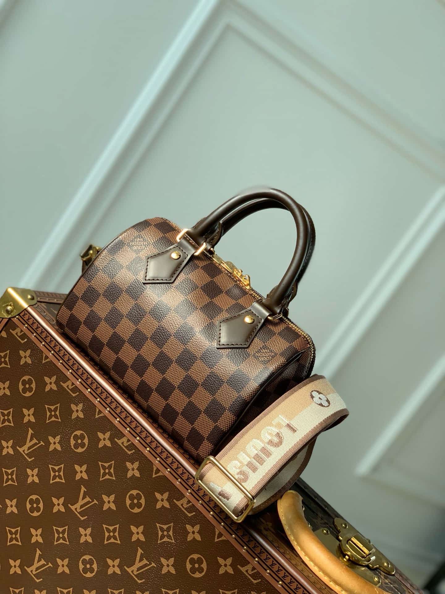 Louis Vuitton Speedy Bandoulière 20 Damier Ebene coated canvas / Cowhide leather N40489 High