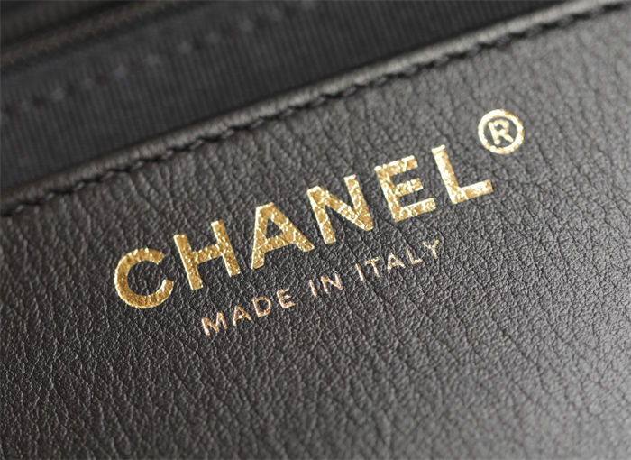 Chanel CAMERA CASE Shiny Lambskin & Gold-Tone Metal TOP