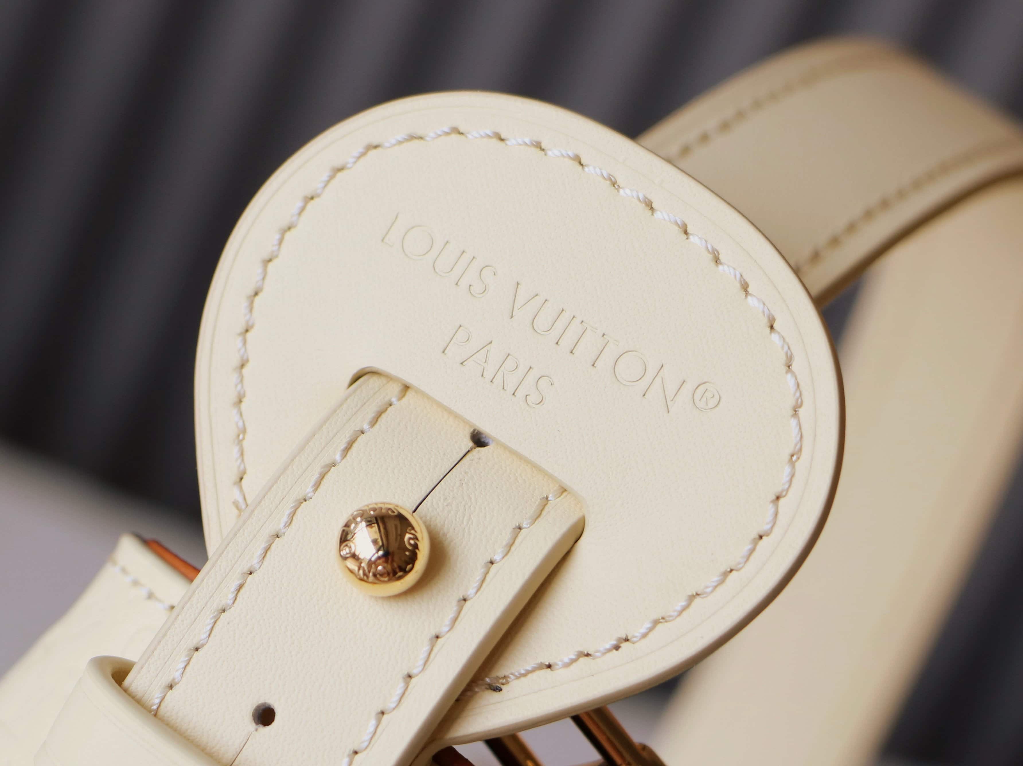 Louis Vuitton All In BB Banane Calfskin leather M29479 High