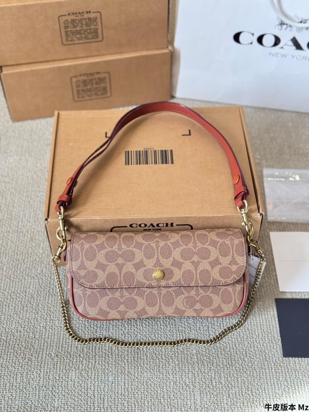 Coach Brook Flap Chain Bag