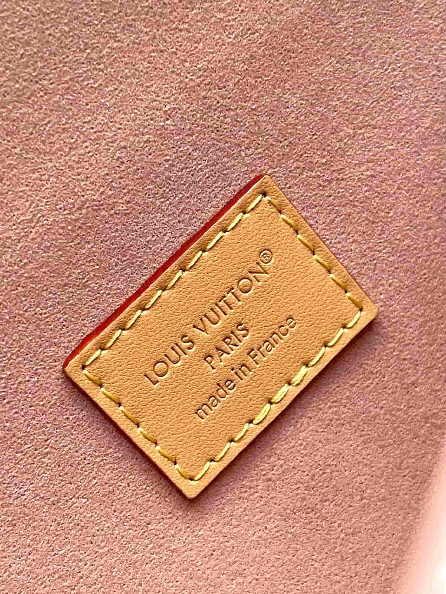 Louis Vuitton Pochette Camille Monogram Dune coated canvas M26583 TOP