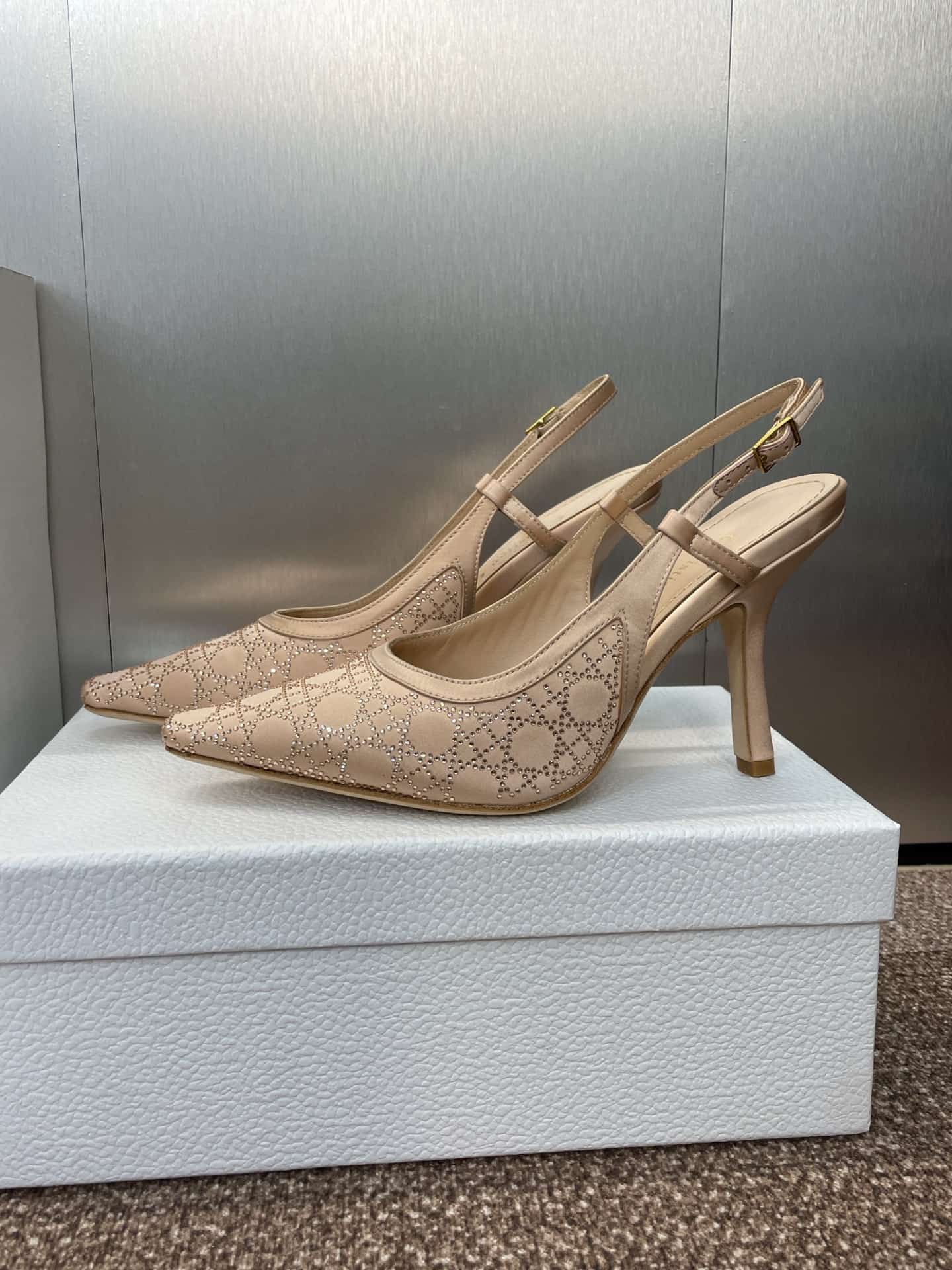 Dior Capture Slingback Pump Shoes High Women