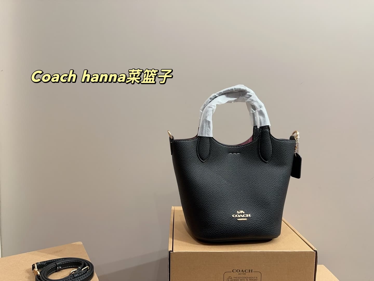Coach Hanna Bucket Bag