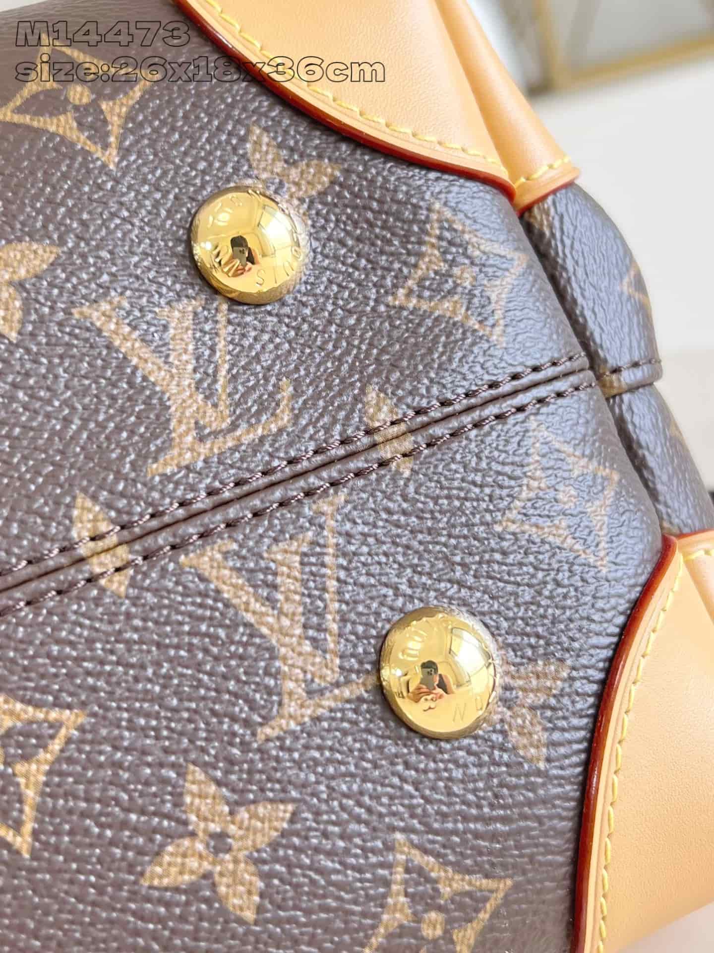 Louis Vuitton Hide Away MM Monogram Coated canvas M14473 High