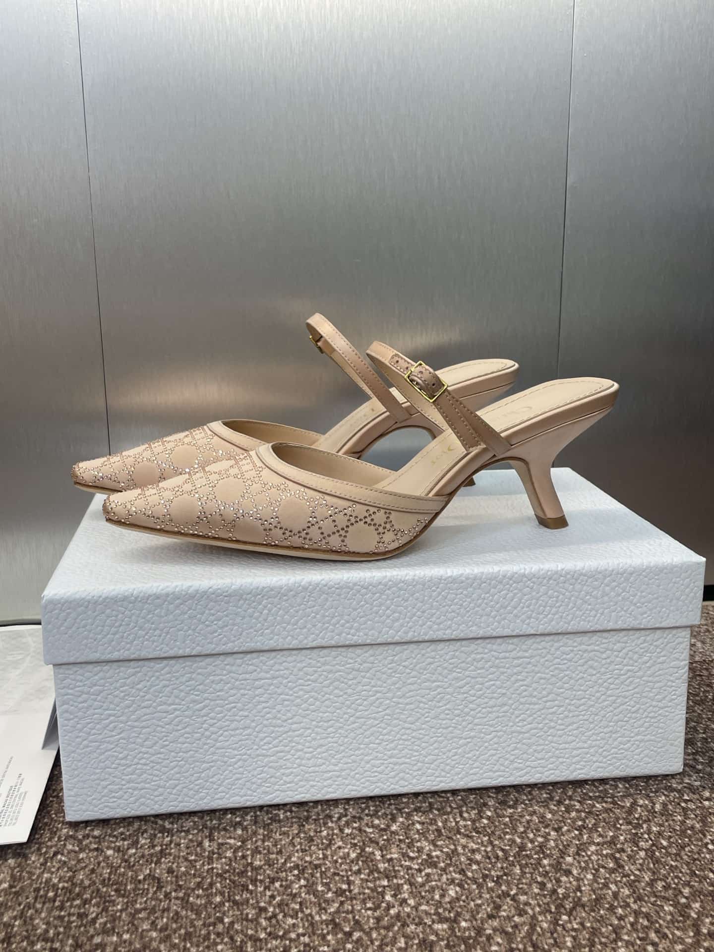 Dior Capture Heeled Mule shoes Low Women