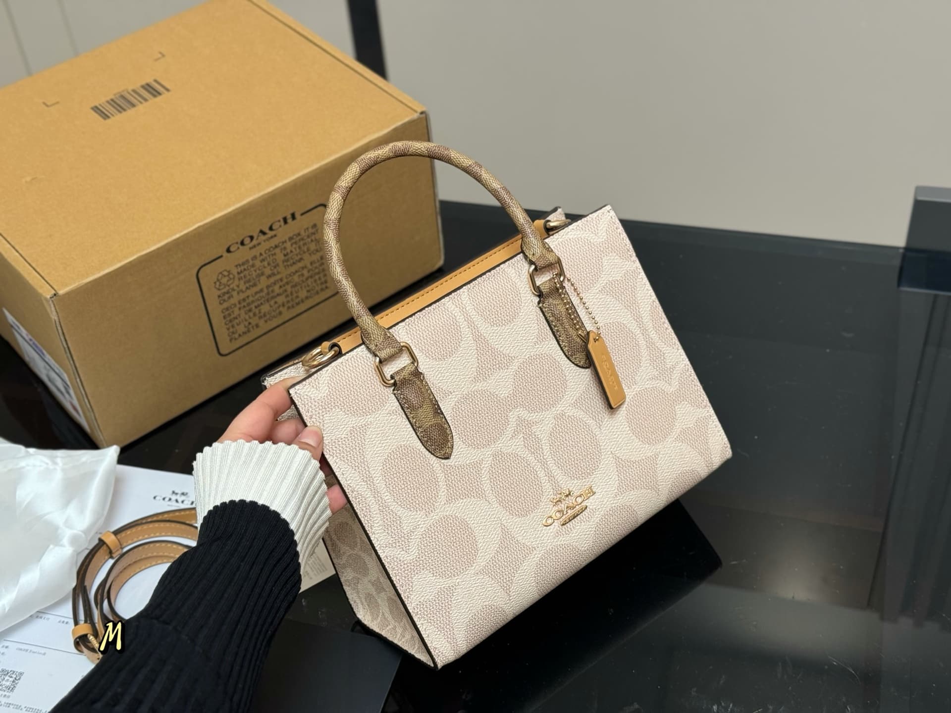 Coach Maggie Small Tote Bag In Blocked Signature Leather