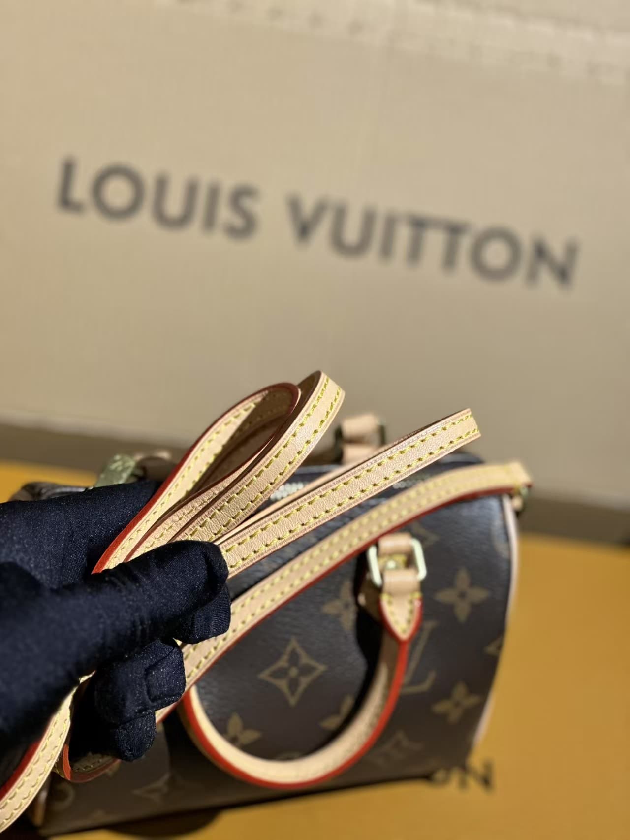 Louis Vuitton Nano Speedy Bag Monogram Canvas M61252 High