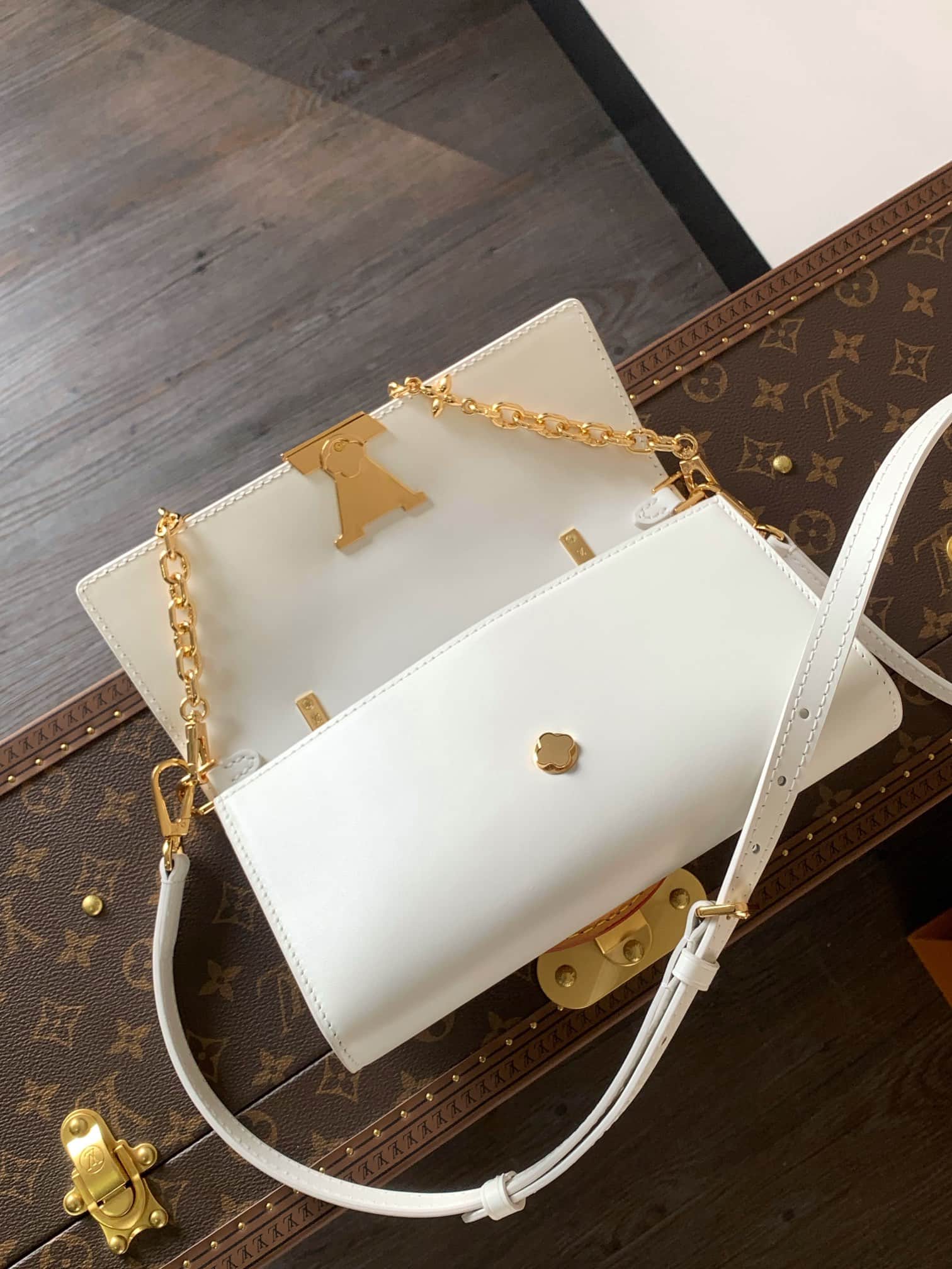 Louis Vuitton Wallet On Chain Capucines Snow Calf leather M12265 High