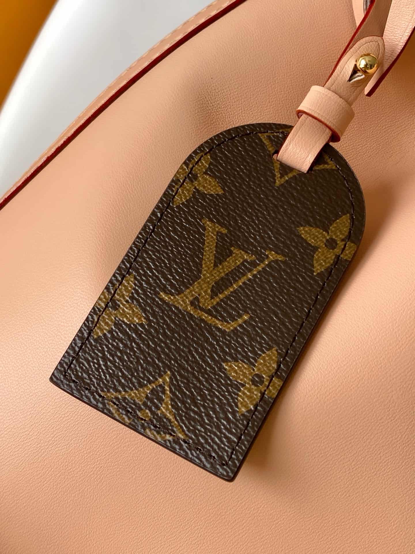 Louis Vuitton Noé Beige VVN cowhide leather M27389 High