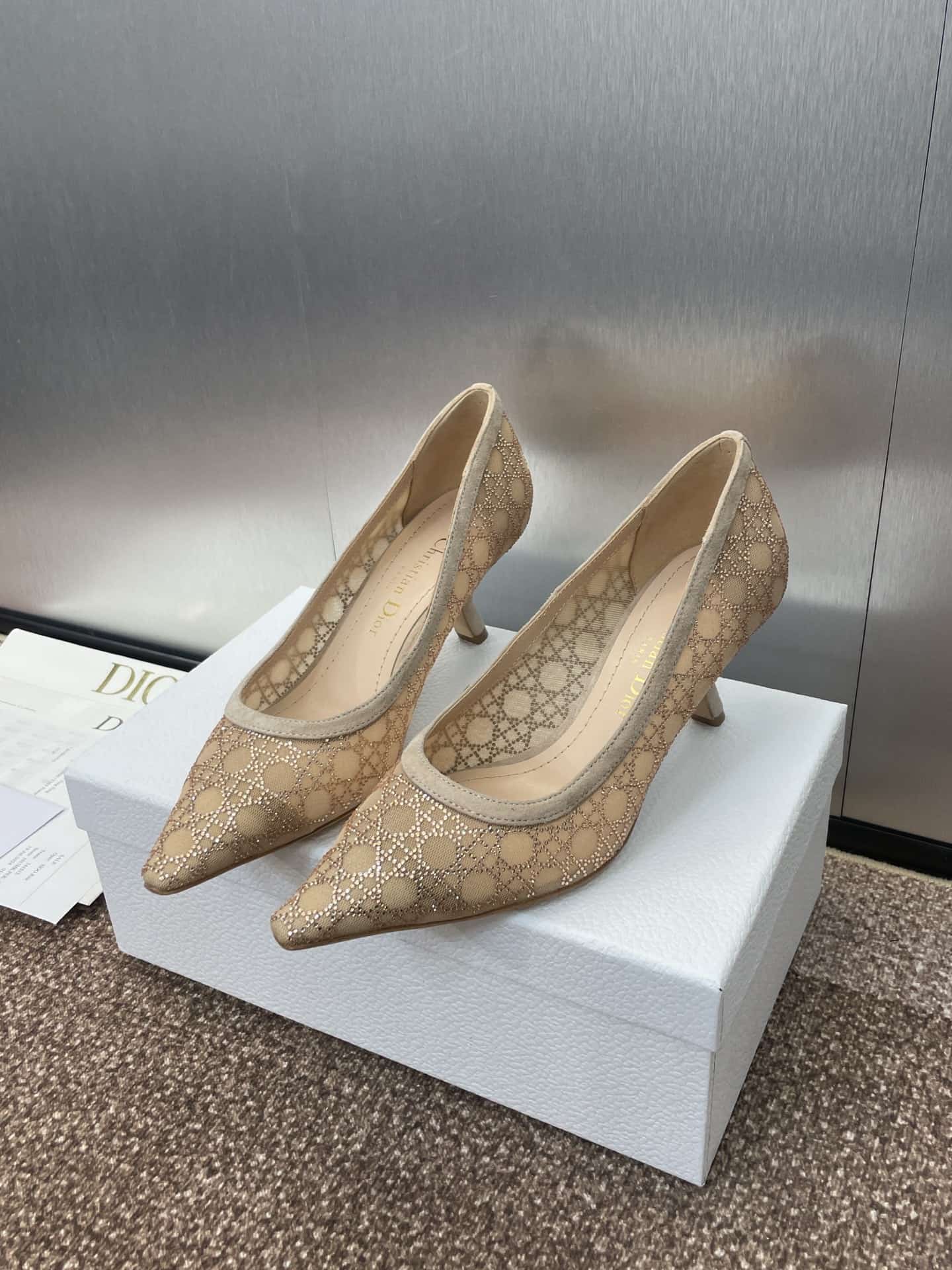 Dior Capture Pump Shoes Low Women