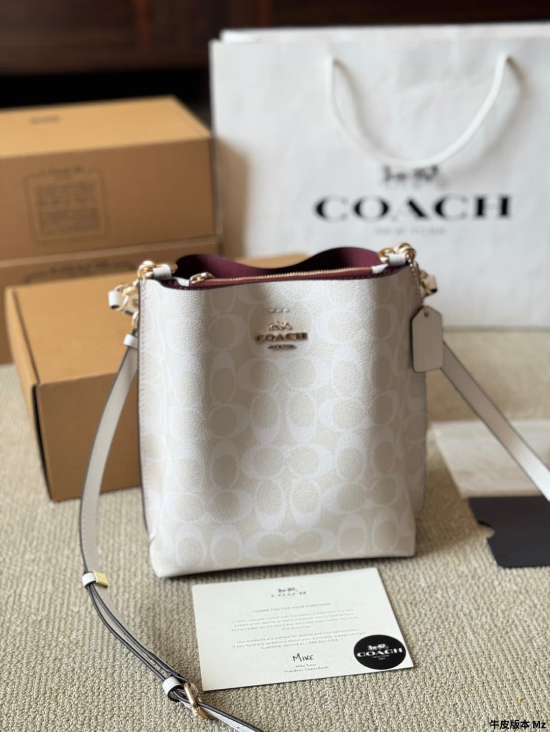 Coach Mollie Bucket Bag 22 In Signature Canvas