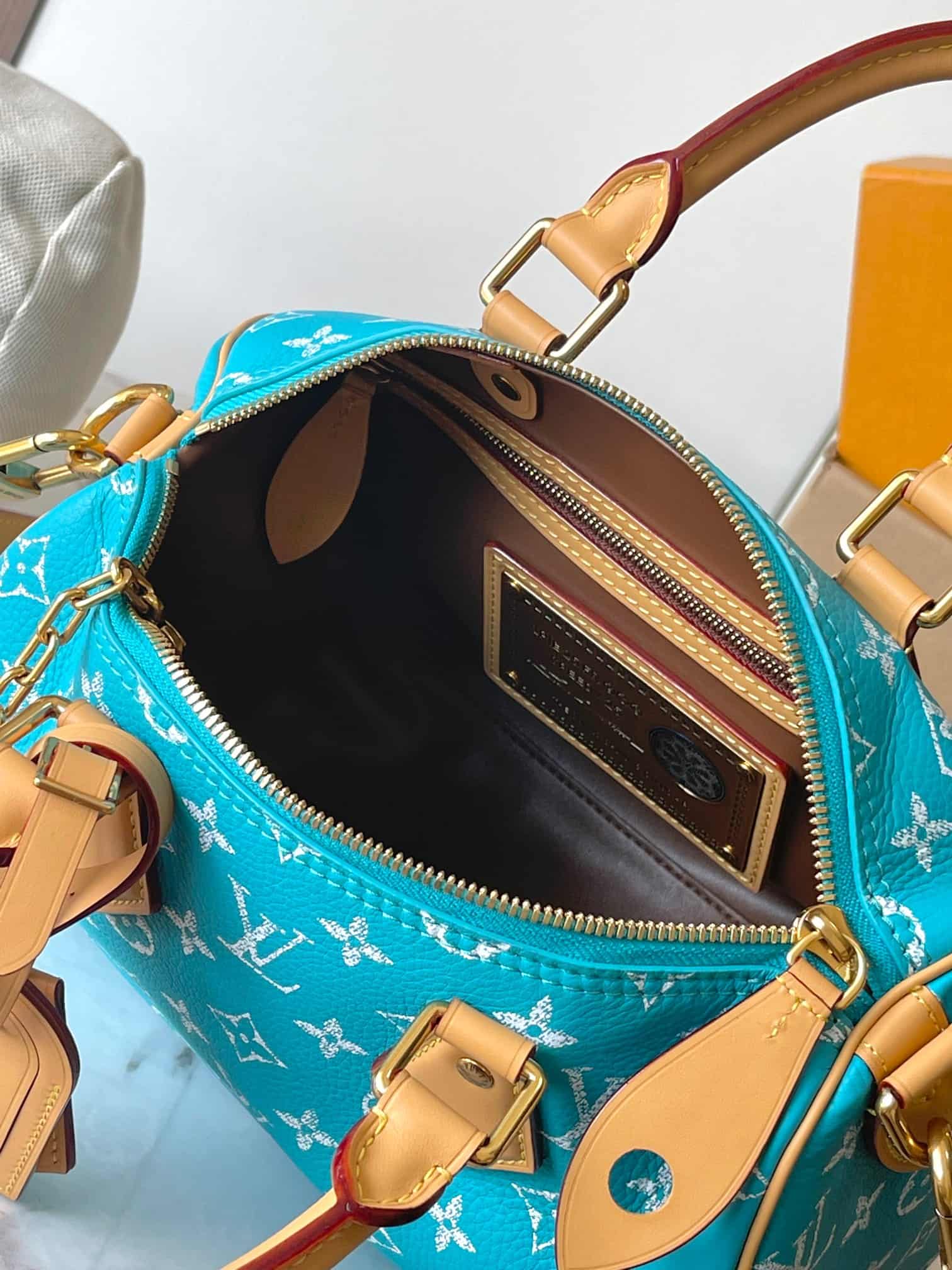 Louis Vuitton Speedy P9 Bandoulière 25 Calf leather M11561 Turquoise TOP